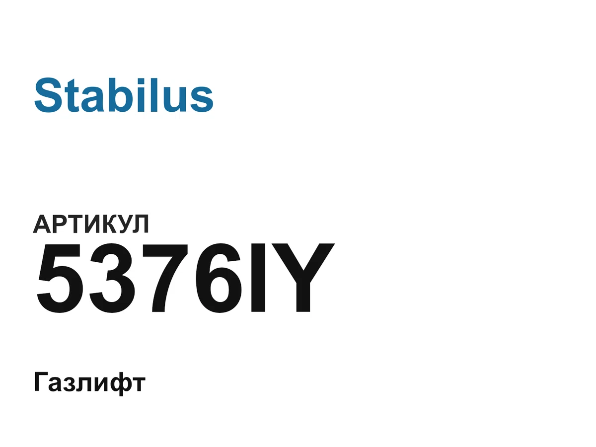 5376IY Stabilus