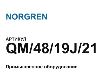 QM4819J21 NORGREN