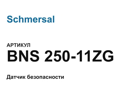 BNS25011ZG Schmersal