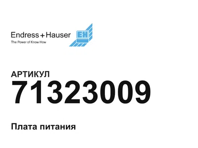 71323009 Endress+Hauser