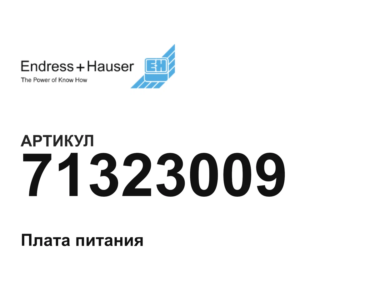 71323009 Endress+Hauser