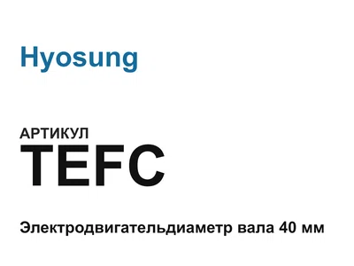 TEFC Hyosung