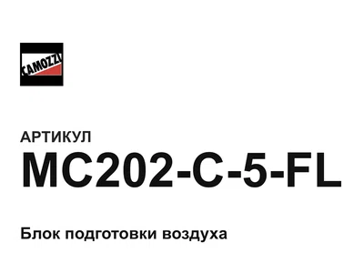 MC202C5FL Camozzi