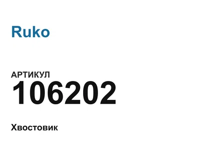 106202 Ruko