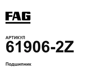 619062Z FAG