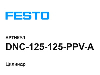DNC125125PPVA FESTO
