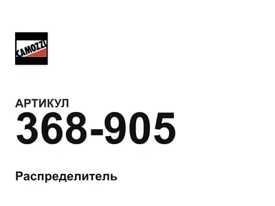 368905 Camozzi