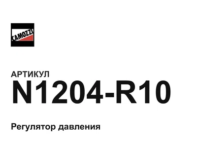 N1204R10 Camozzi