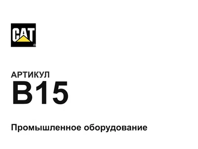 B15 CAT