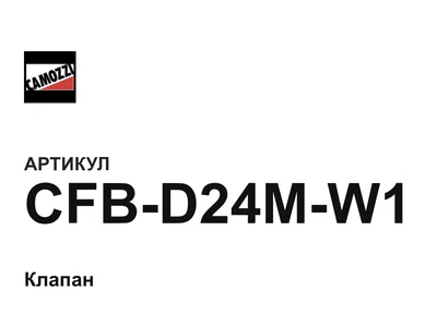 CFBD24MW1 Camozzi