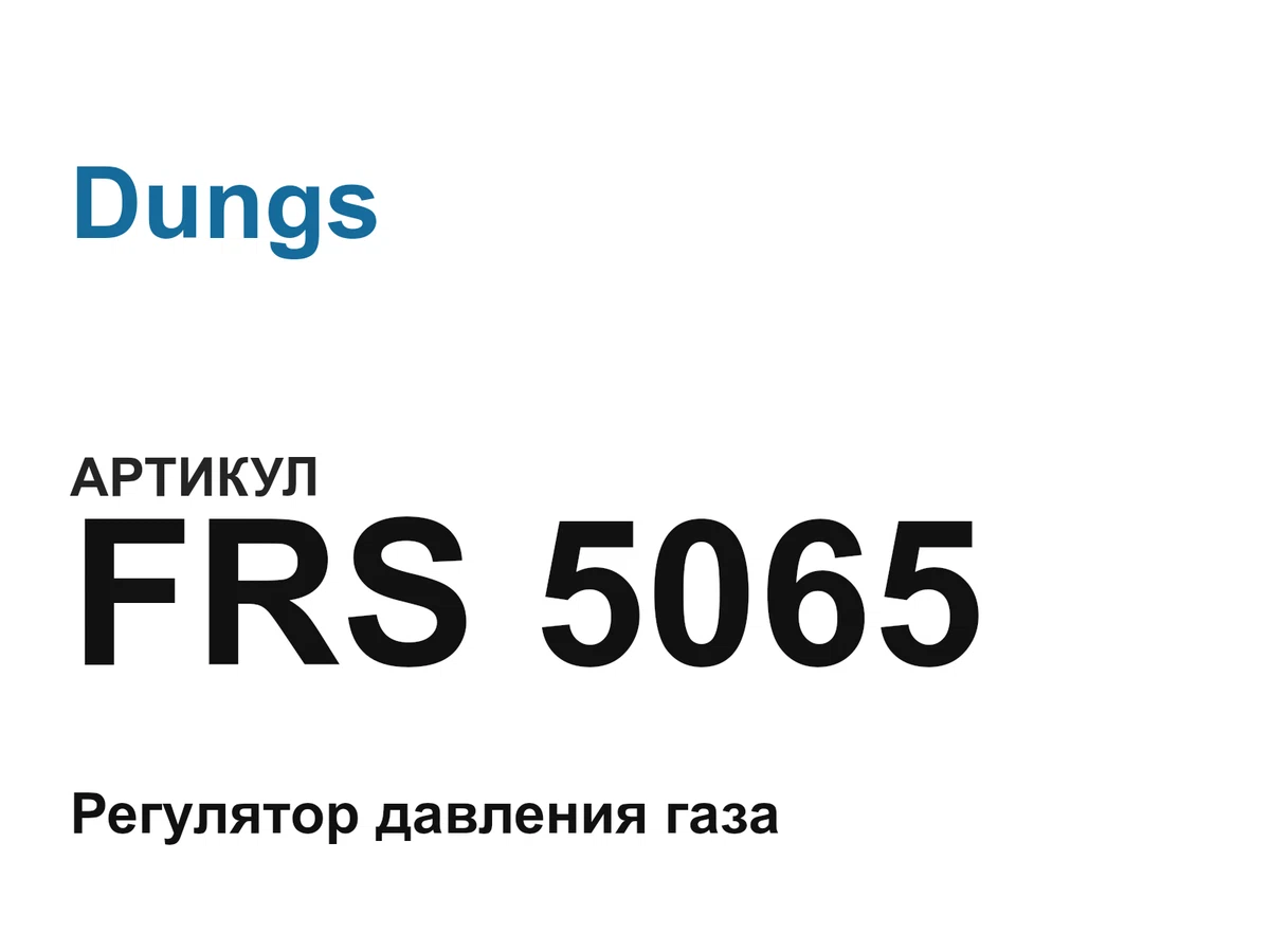 FRS5065 Dungs