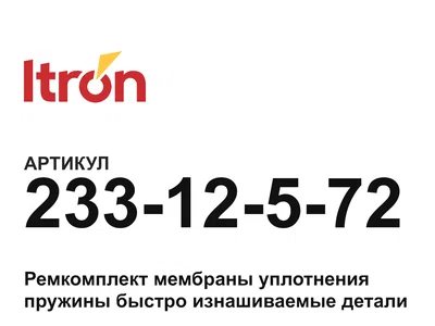 23312572 Itron