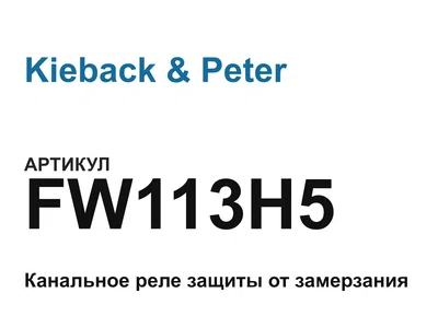 FW113H5 Kieback & Peter