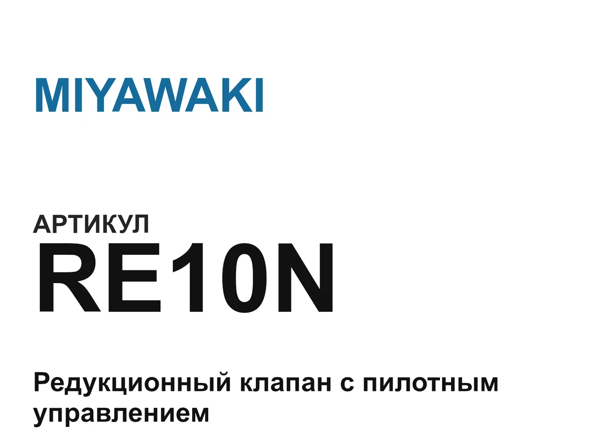 RE10N MIYAWAKI