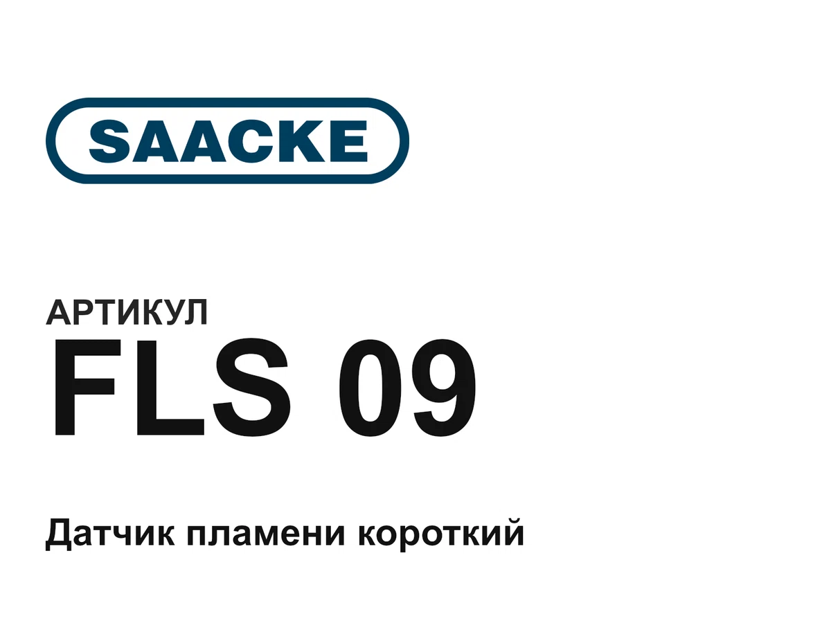 FLS09 Saacke