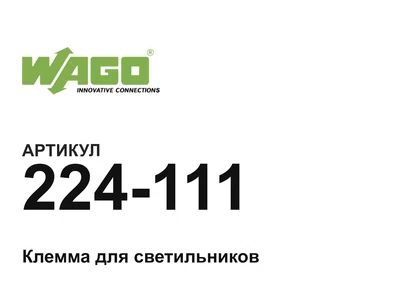 224111 Wago