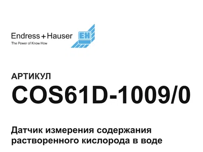 COS61D10090 Endress+Hauser