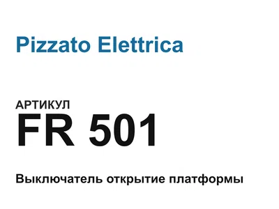 FR501 Pizzato Elettrica