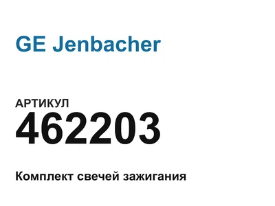 462203 GE Jenbacher