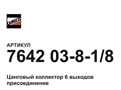 764203818 Camozzi