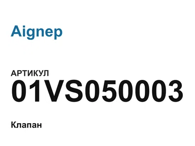 01VS050003 Aignep