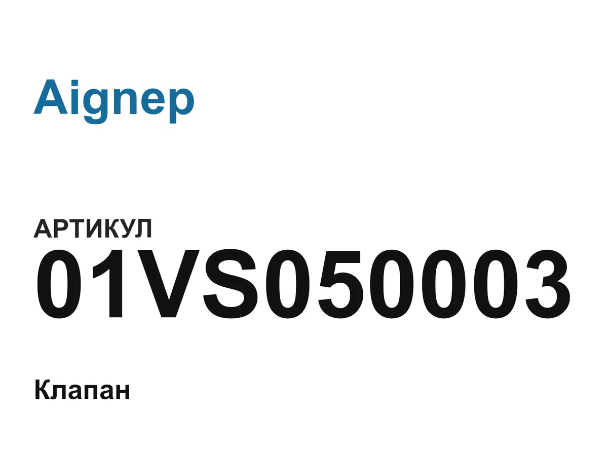 01VS050003 Aignep