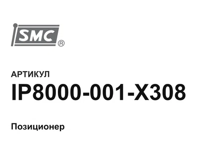 IP8000001X308 SMC