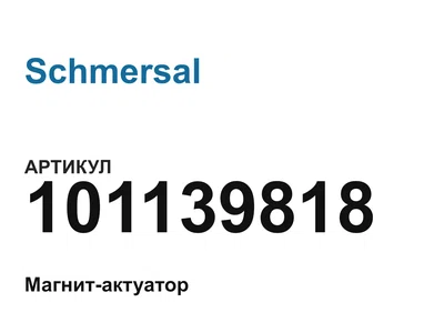 101139818 Schmersal