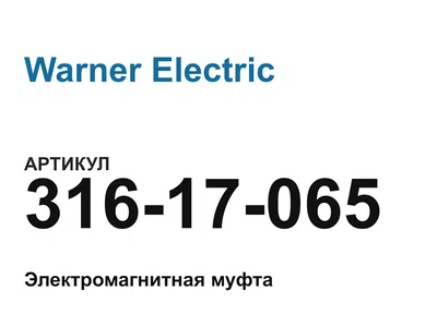 31617065 Warner Electric
