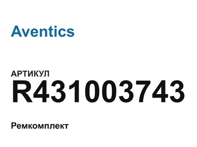 R431003743 Aventics