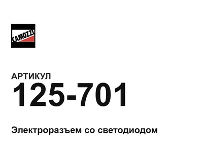 125701 Camozzi