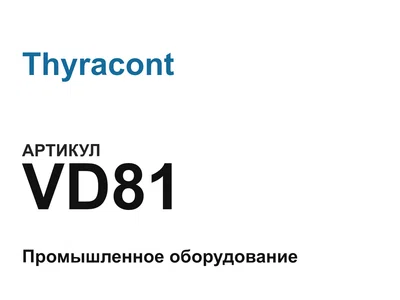 VD81 Thyracont