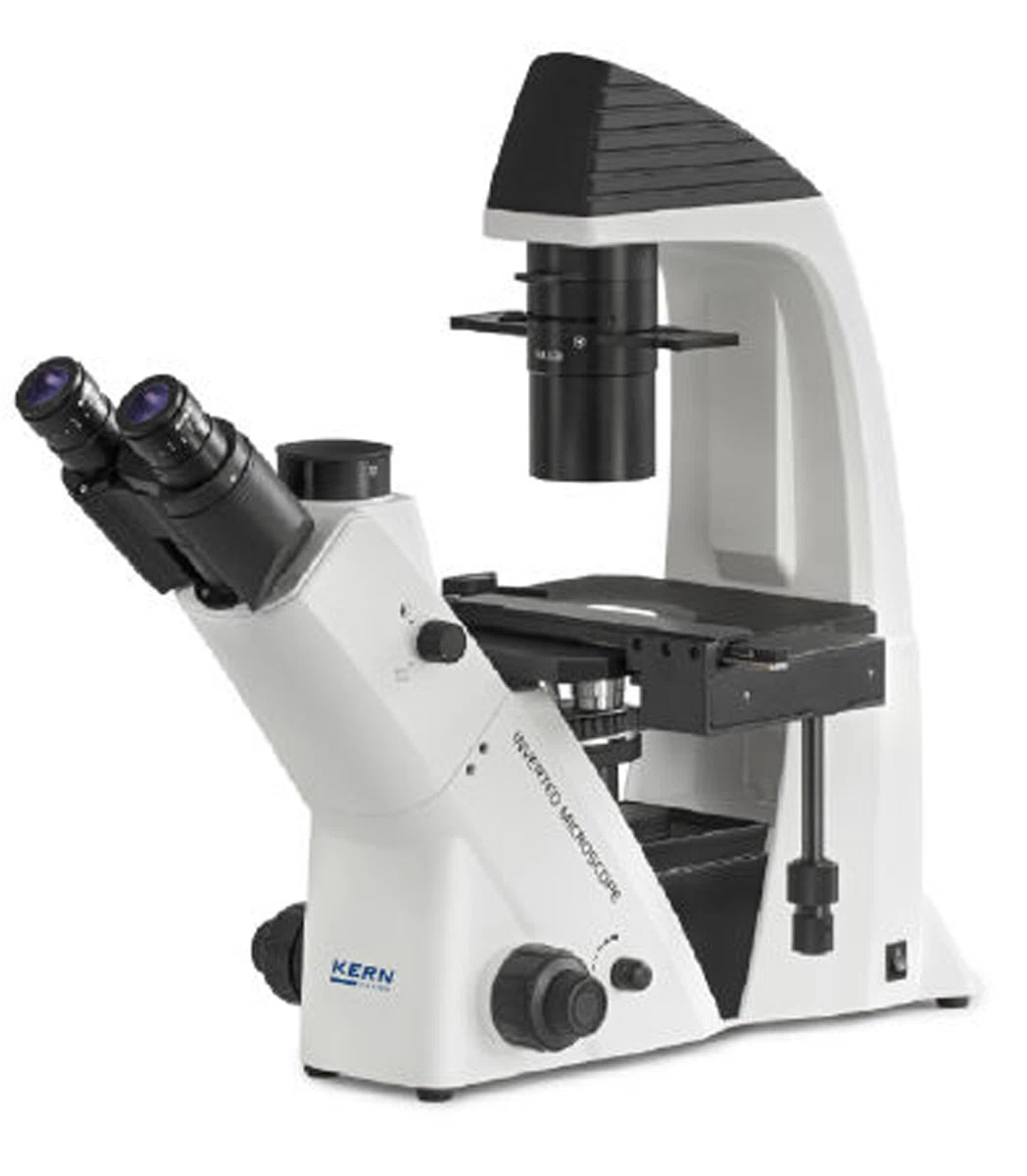 OCM 161 Kern