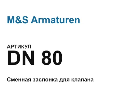 DN80 M&S Armaturen