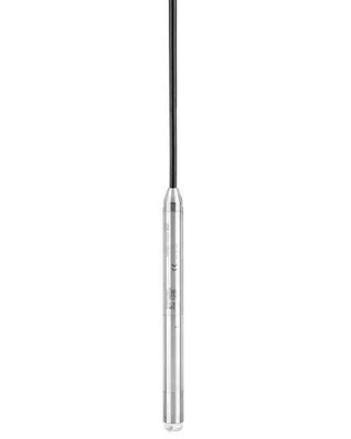 FMX21 Endress+Hauser