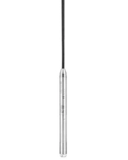 FMX21 Endress+Hauser