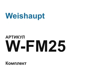 WFM25 Weishaupt