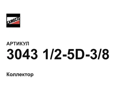 3043125D38 Camozzi