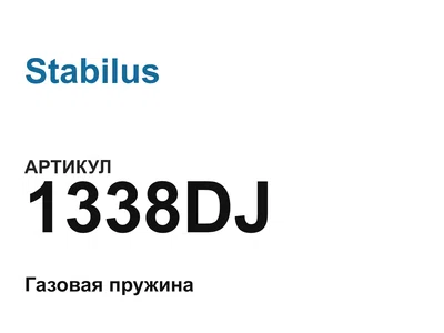 1338DJ Stabilus