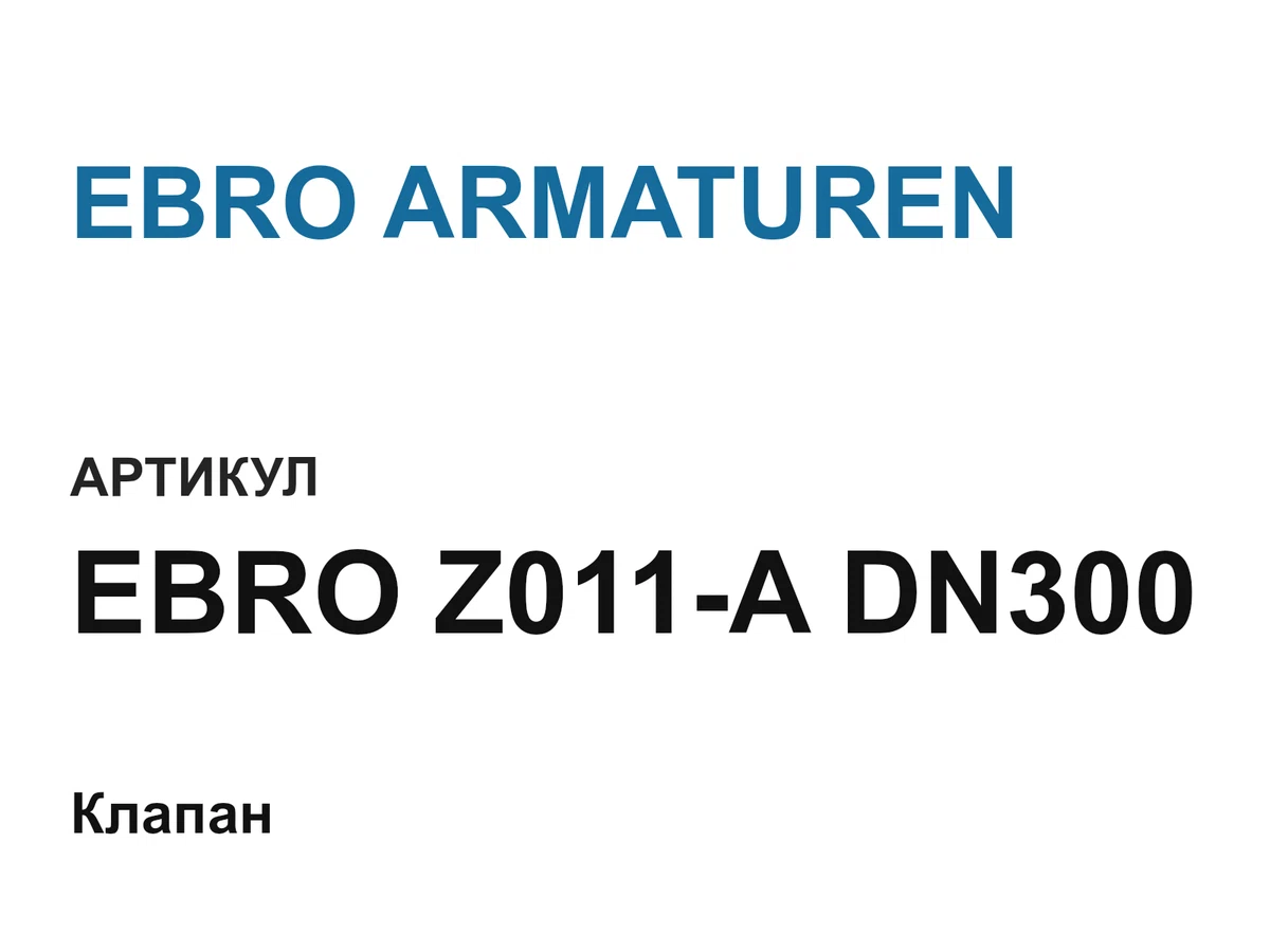 EBROZ011ADN300 EBRO ARMATUREN