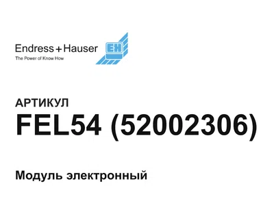 FEL5452002306 Endress+Hauser