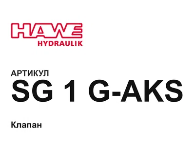 SG1GAKS Hawe