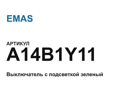 A14B1Y11 EMAS