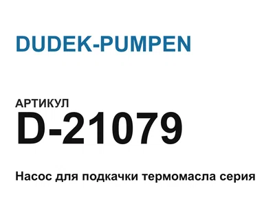 D21079 DUDEK-PUMPEN