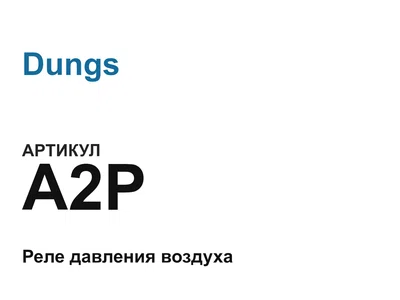 A2P Dungs