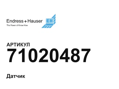 71020487 Endress+Hauser