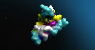 BioNeMo NVIDIA Программное обеспечение и лицензии