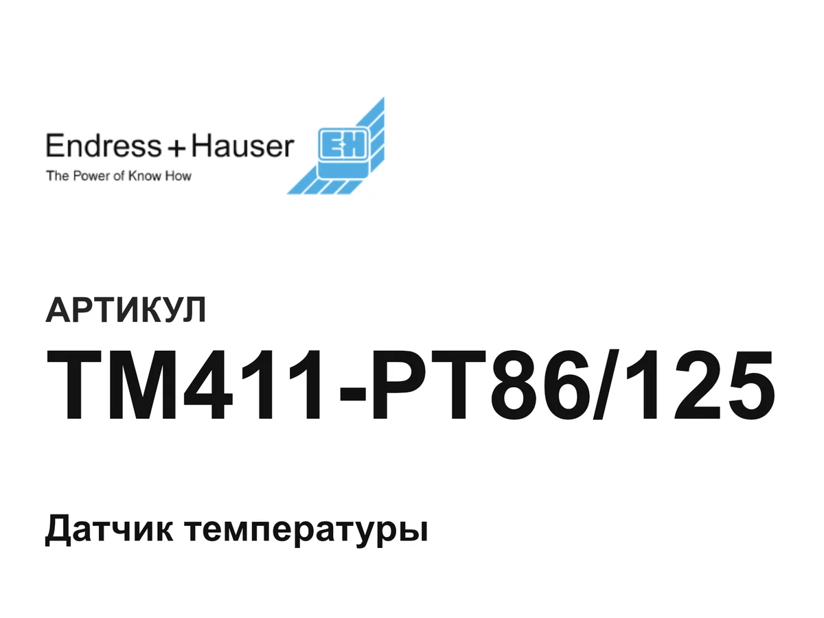 TM411PT86125 Endress+Hauser