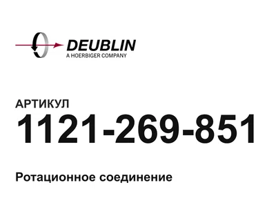 1121269851 Deublin