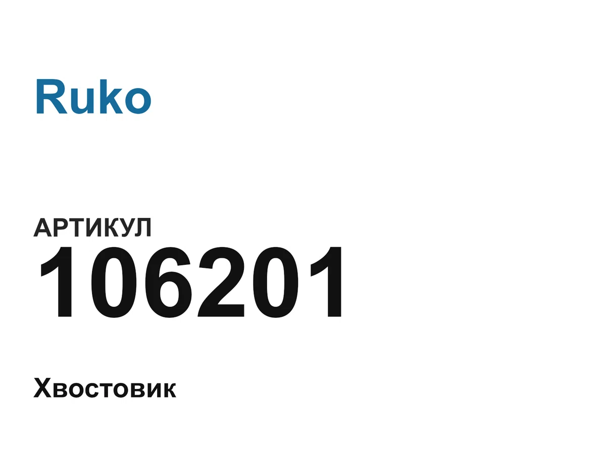 106201 Ruko